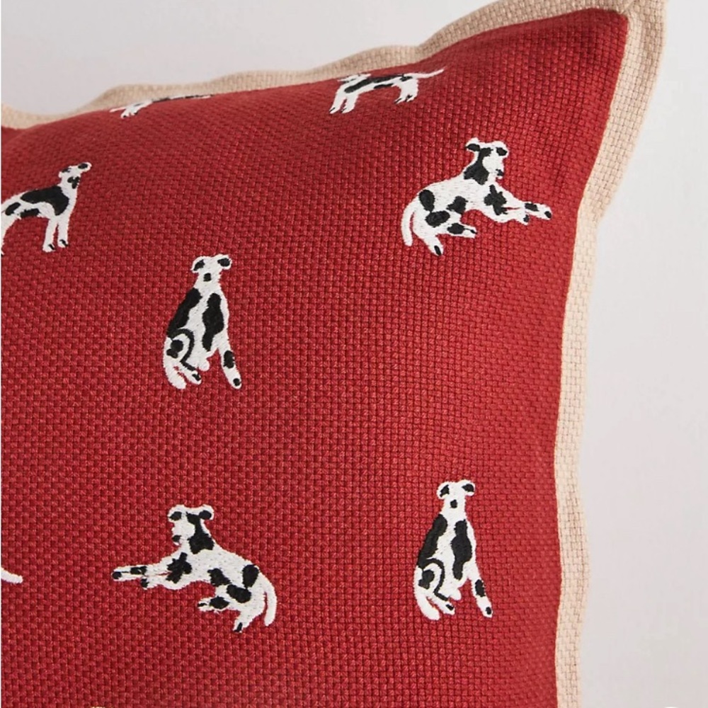 1 NWT Anthropologie Monroe Pillow